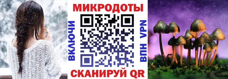 Галлюциногенные грибы Psilocybe Печора